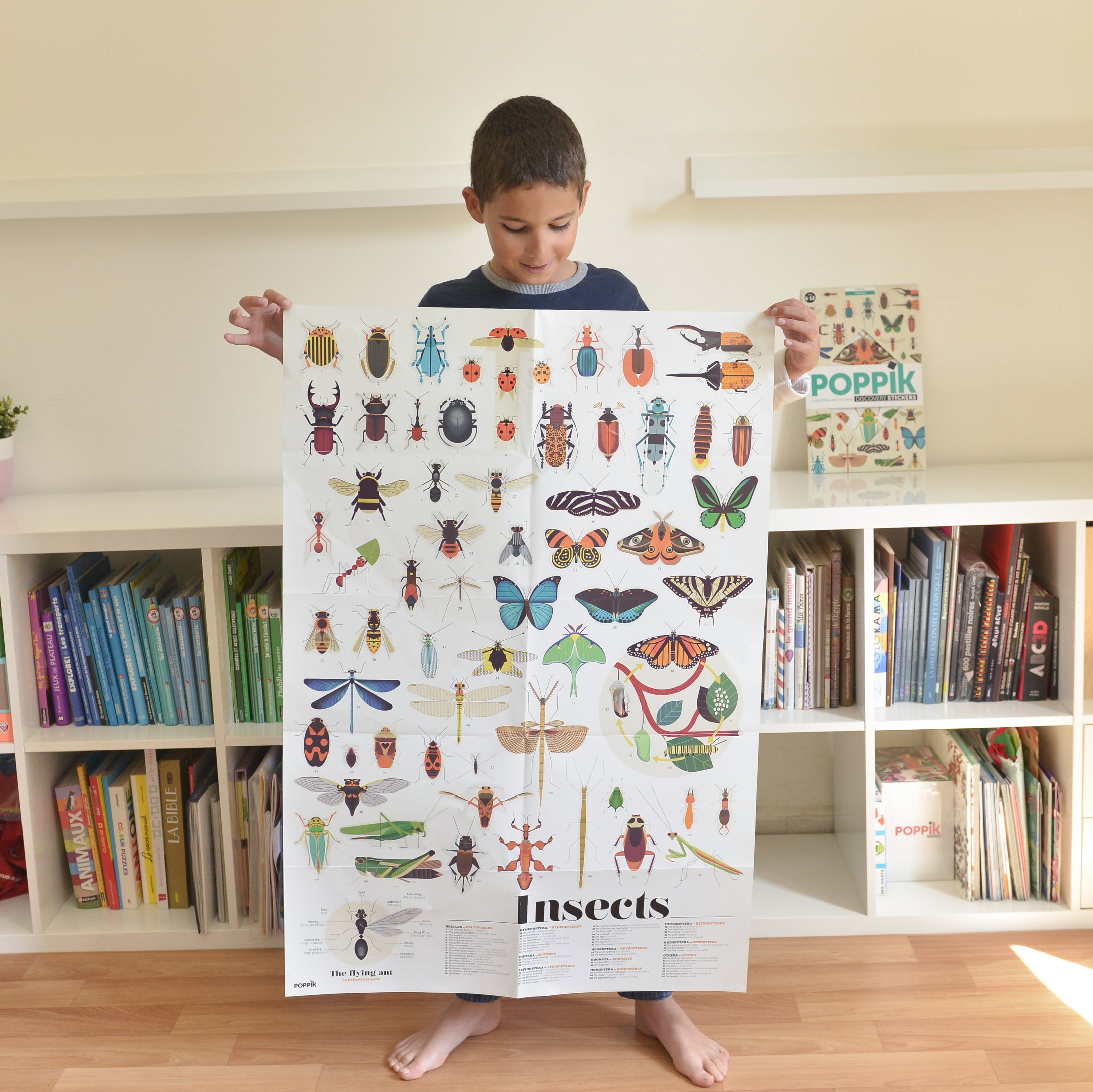 Poster educativo Insectos + 44 stickers