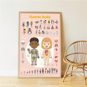 Poster educativo Cuerpo Humano + 49 stickers
