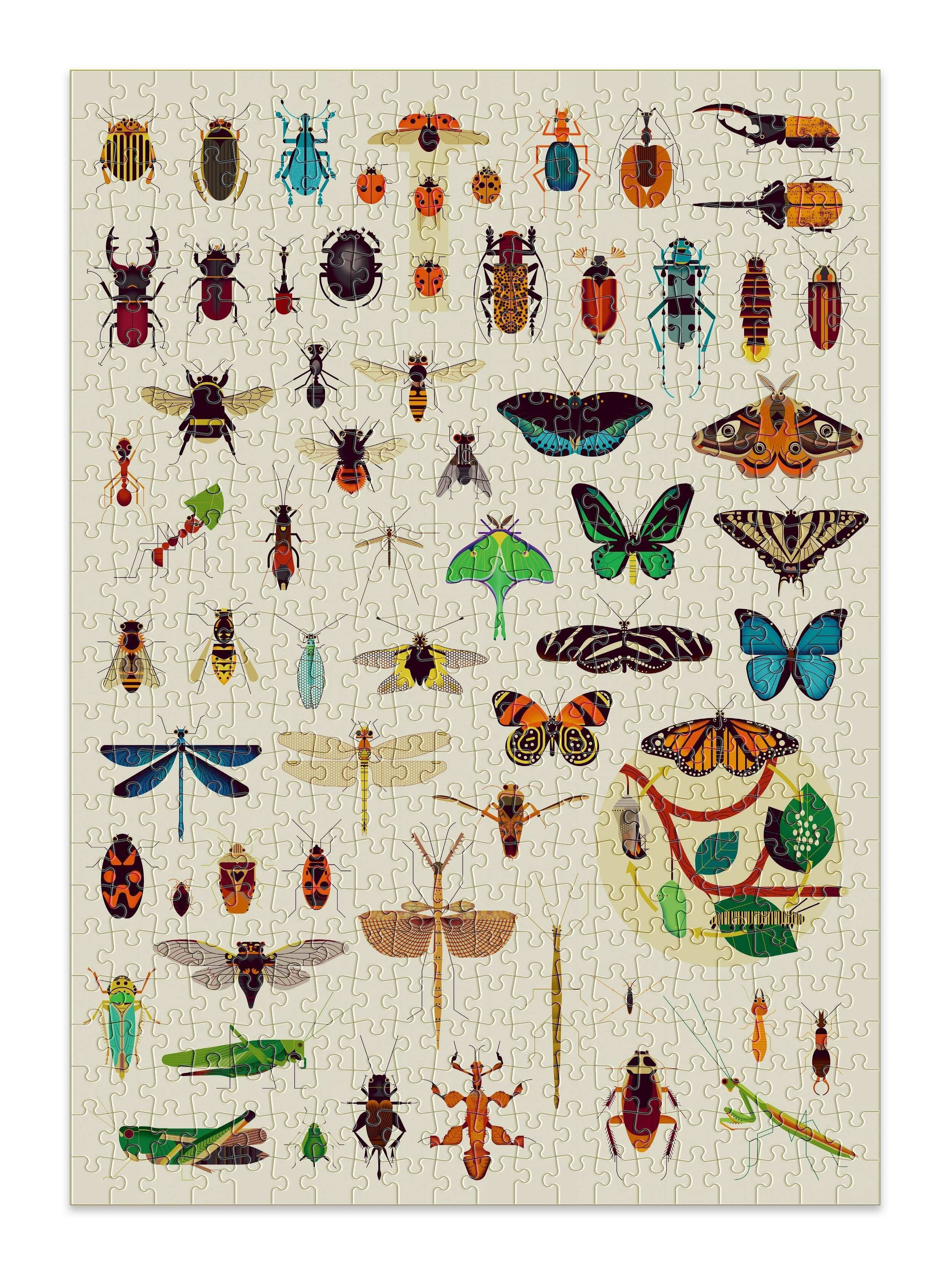 Puzzle educativo 500 piezas Insectos