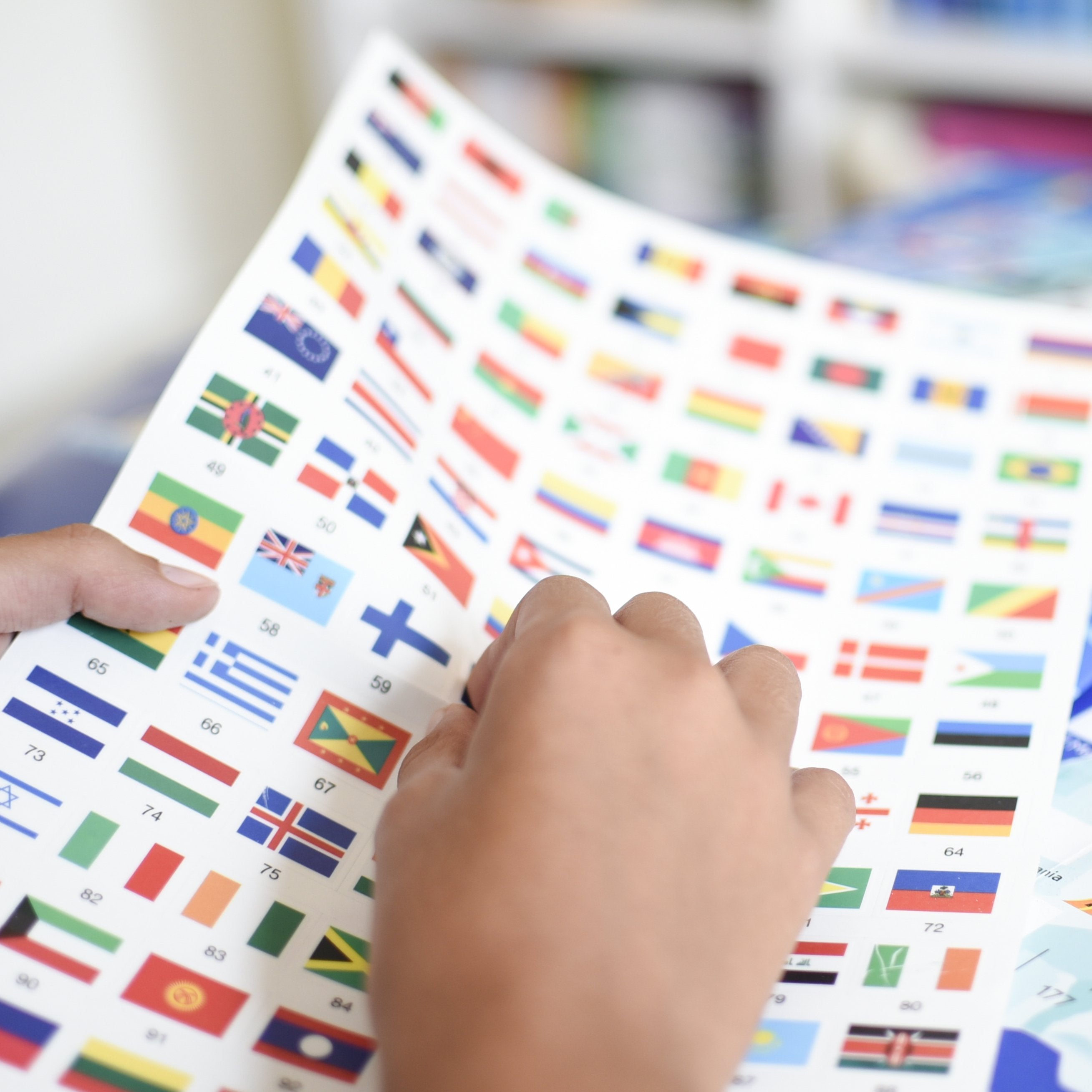 Poster educativo Las Banderas del Mundo + 200 stickers