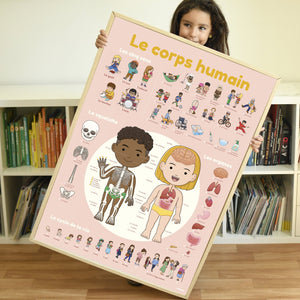 Poster educativo Cuerpo Humano + 49 stickers