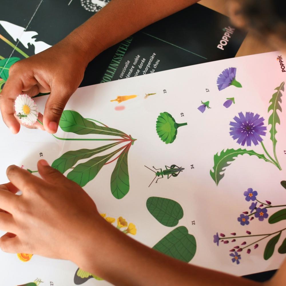 Poster educativo Plantas y flores + 72 stickers