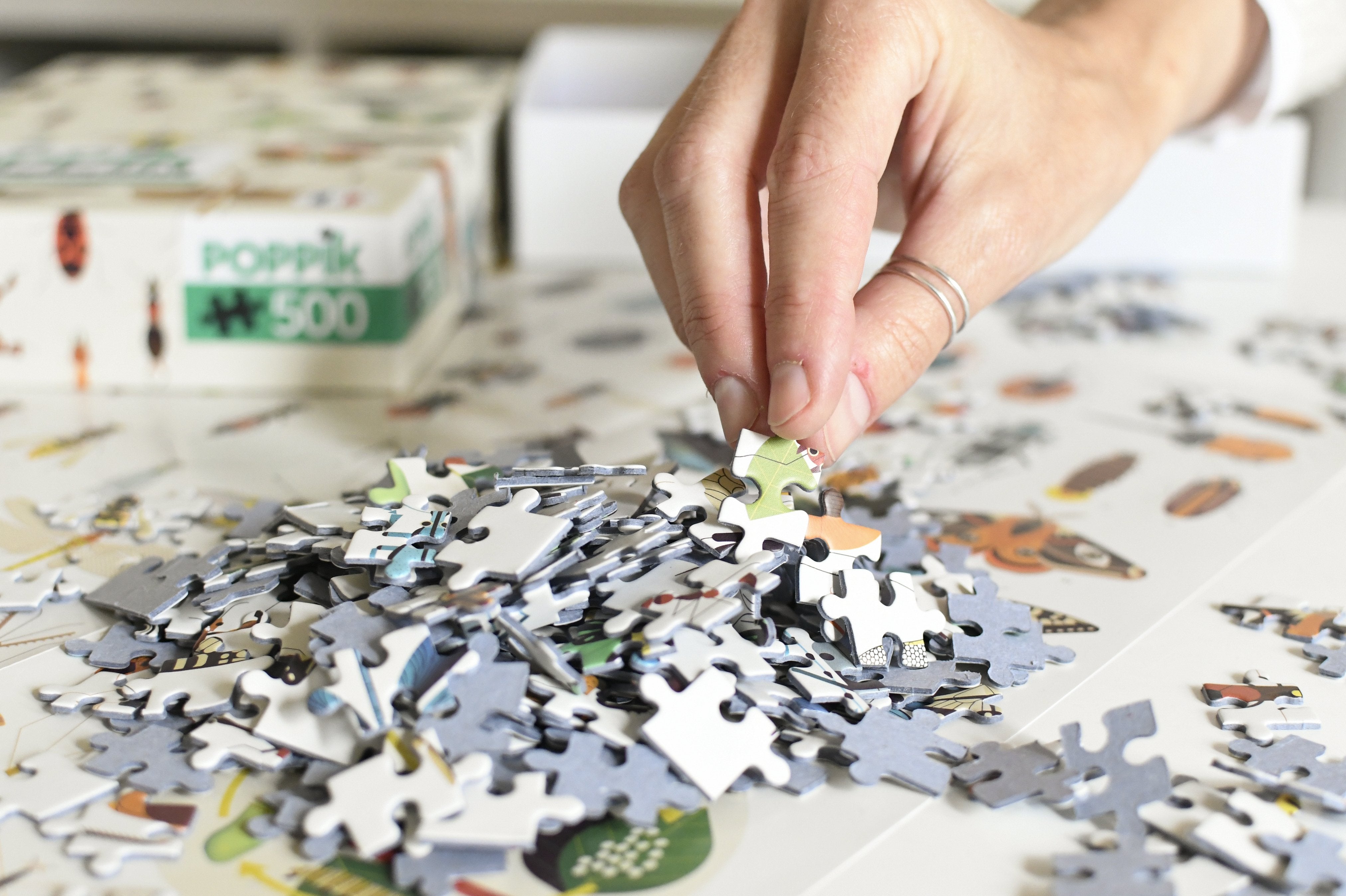 Puzzle educativo 500 piezas Insectos